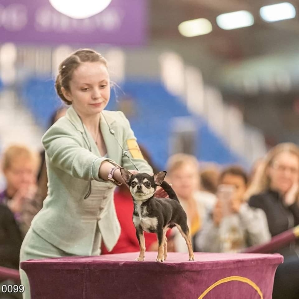 Meet your Posher, Kathleen